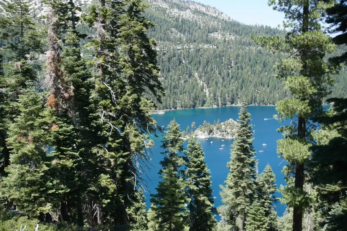 Emerald Bay seen through pines from the shore above, with Fannette Island in the blue water