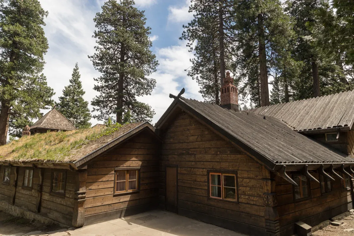 The sod roof and log walls of a Vikingsholm outbuilding among tall pines